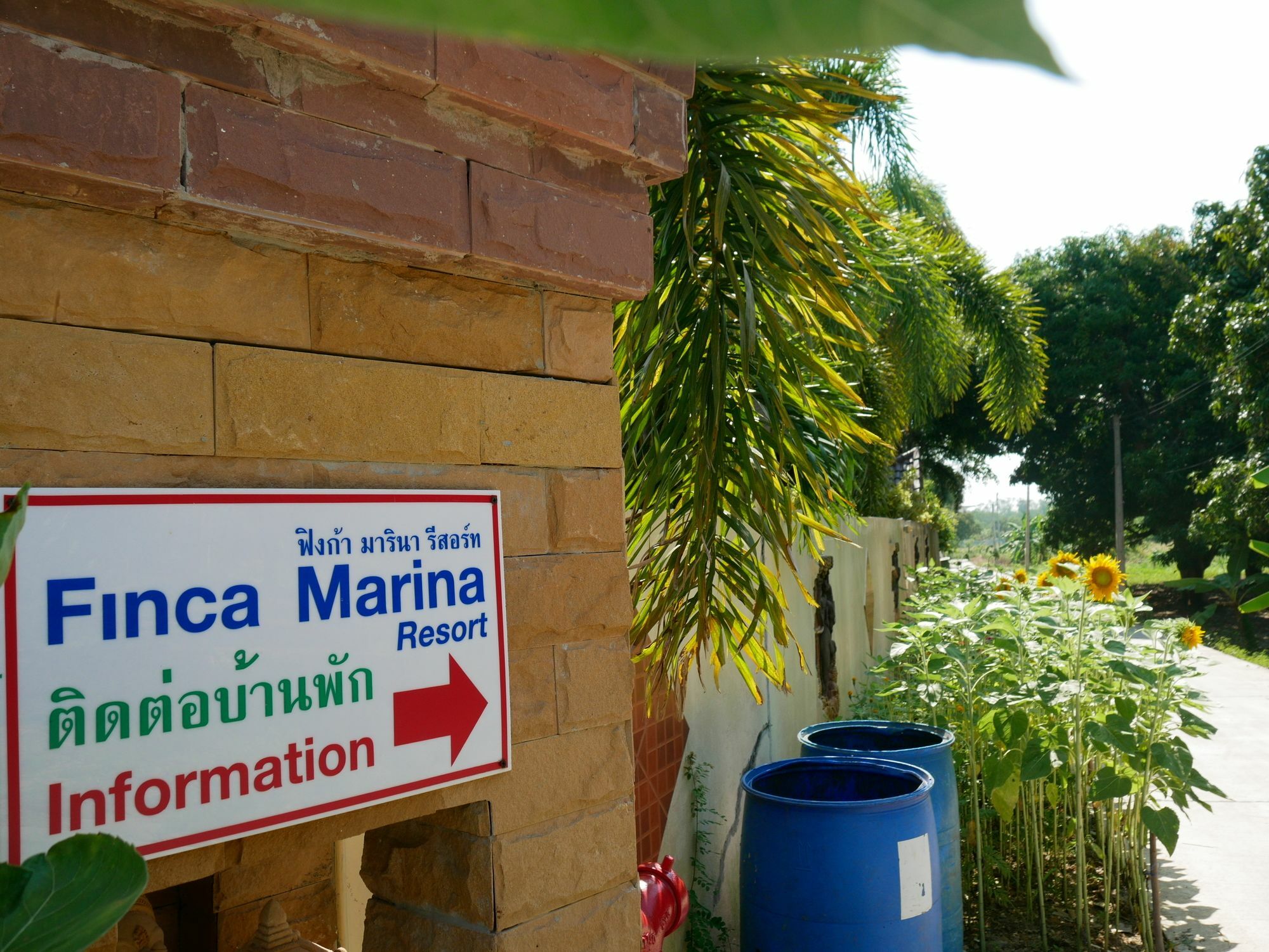 Finca-Marina Ράγιονγκ Εξωτερικό φωτογραφία